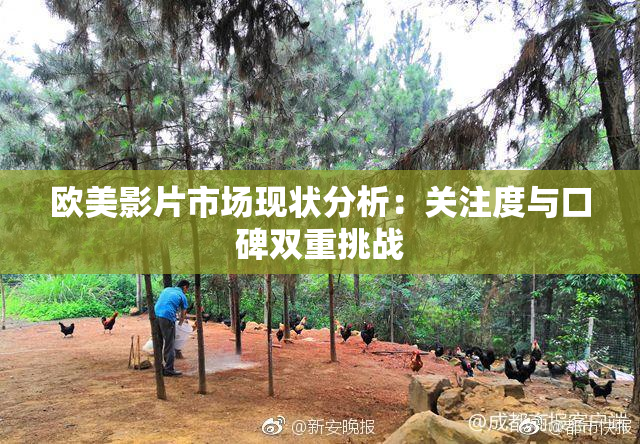 欧美影片市场现状分析：关注度与口碑双重挑战