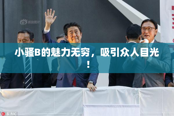 小骚B的魅力无穷，吸引众人目光！