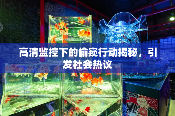 高清监控下的偷窥行动揭秘，引发社会热议