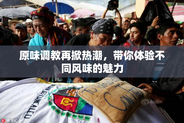 原味调教再掀热潮，带你体验不同风味的魅力