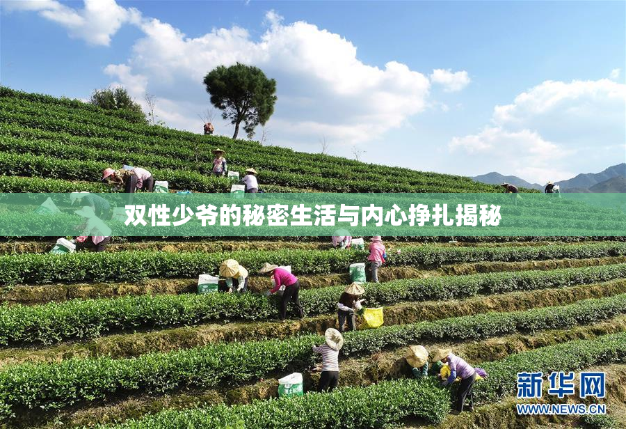 双性少爷的秘密生活与内心挣扎揭秘