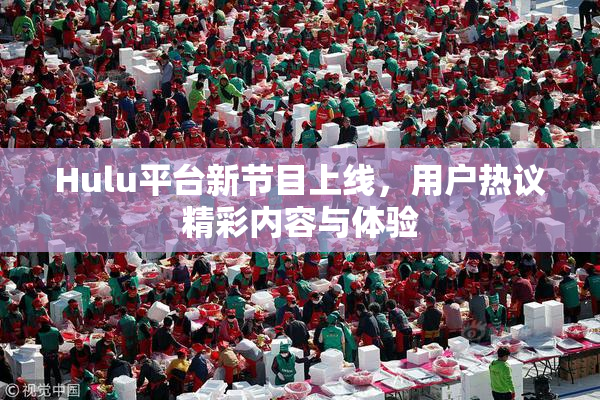 Hulu平台新节目上线，用户热议精彩内容与体验