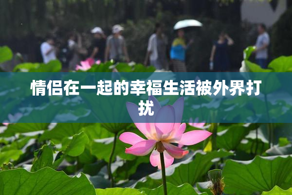 情侣在一起的幸福生活被外界打扰
