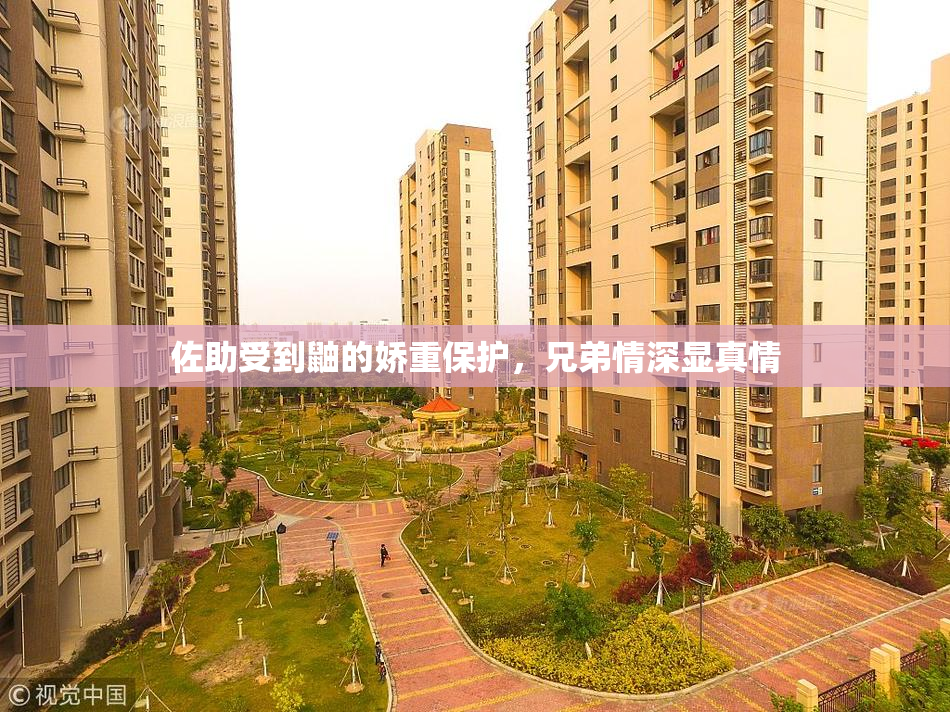 佐助受到鼬的娇重保护，兄弟情深显真情