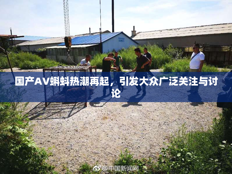 国产AV蝌蚪热潮再起，引发大众广泛关注与讨论