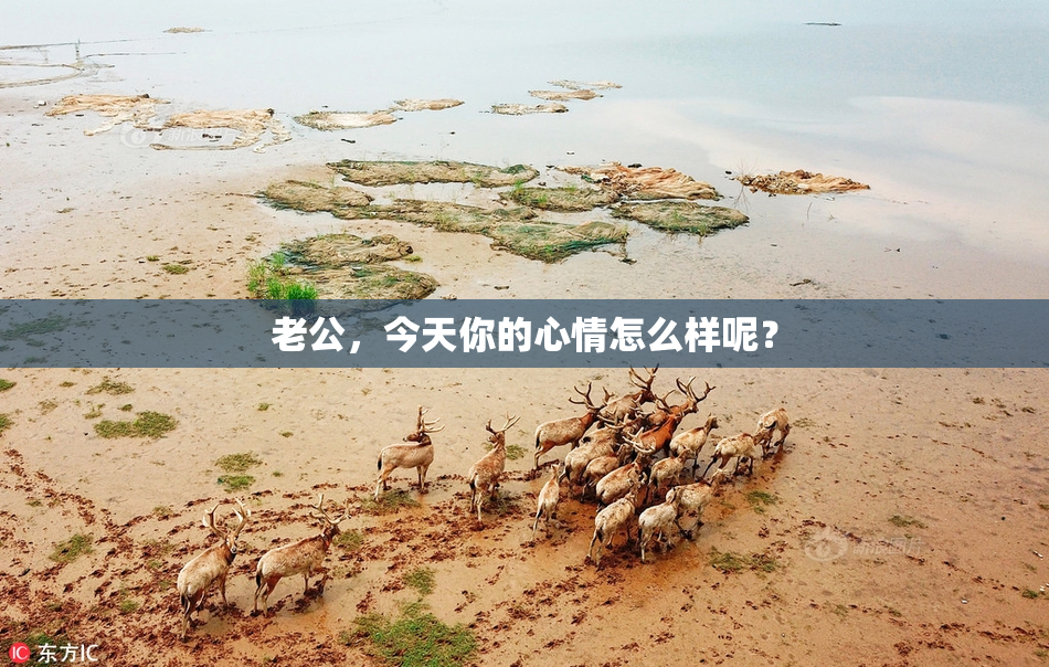 老公，今天你的心情怎么样呢？