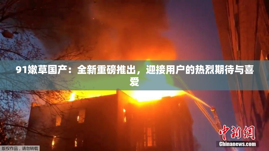 91嫩草国产：全新重磅推出，迎接用户的热烈期待与喜爱