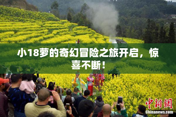 小18萝的奇幻冒险之旅开启，惊喜不断！