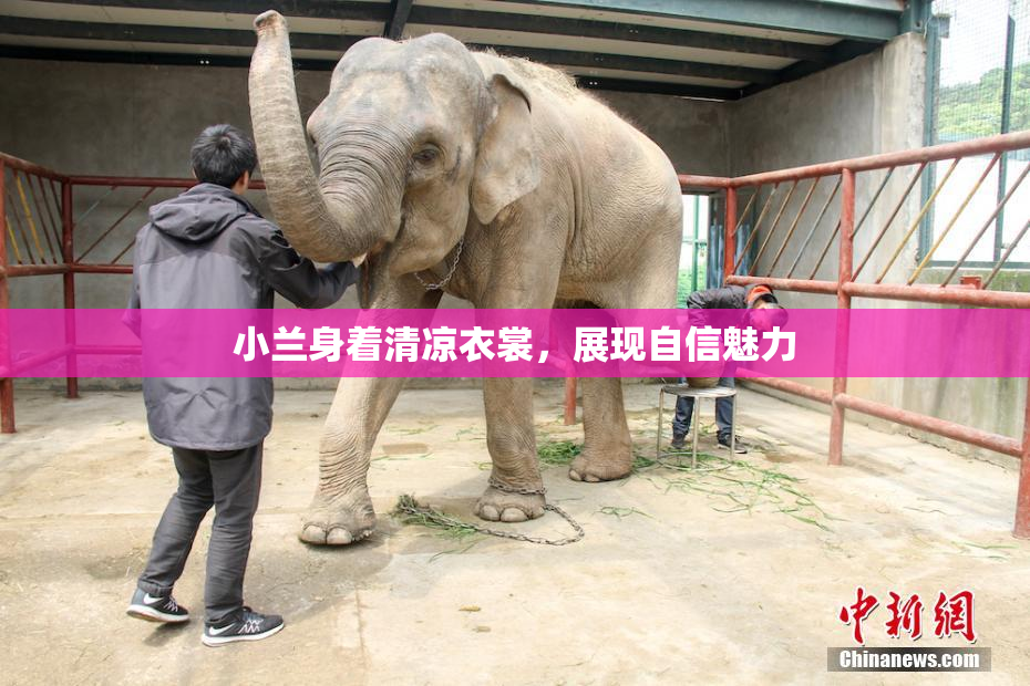 小兰身着清凉衣裳，展现自信魅力