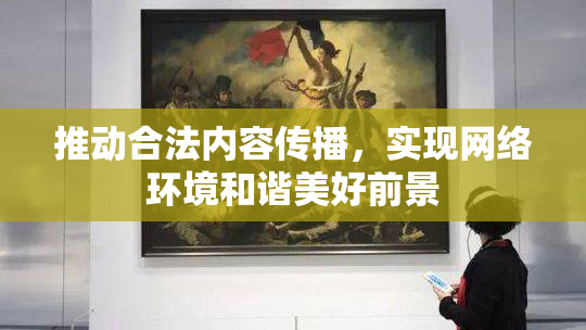 推动合法内容传播，实现网络环境和谐美好前景