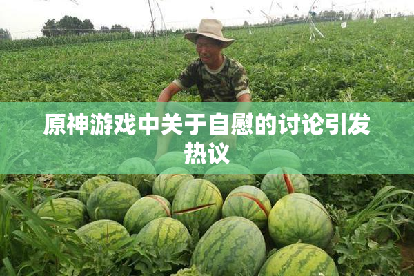 原神游戏中关于自慰的讨论引发热议