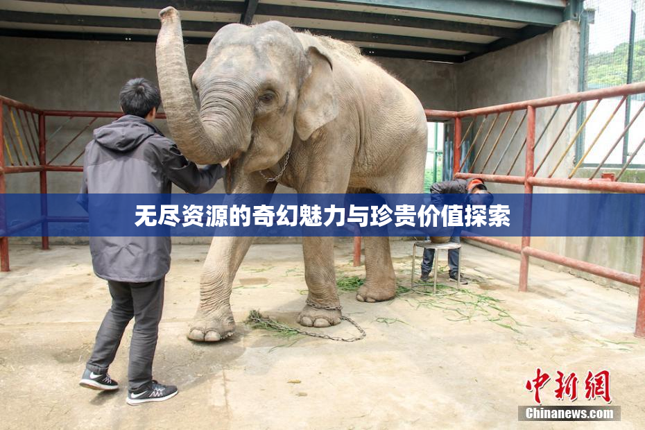 无尽资源的奇幻魅力与珍贵价值探索
