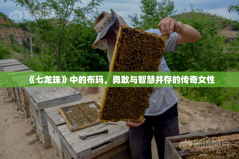 《七龙珠》中的布玛，勇敢与智慧并存的传奇女性