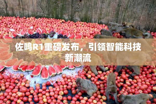 佐鸣R1重磅发布，引领智能科技新潮流