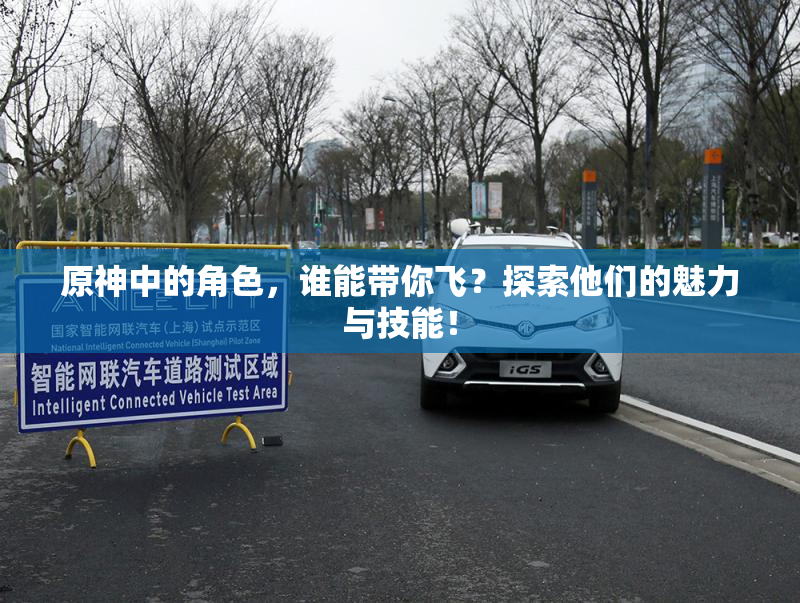 原神中的角色，谁能带你飞？探索他们的魅力与技能！