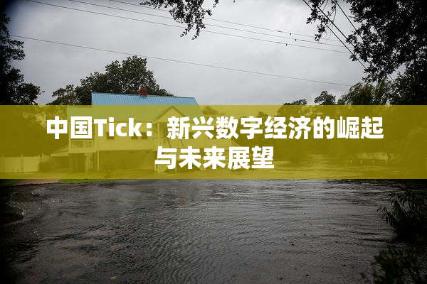 中国Tick：新兴数字经济的崛起与未来展望