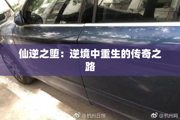 仙逆之堕：逆境中重生的传奇之路