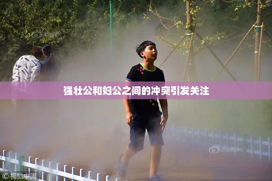 强壮公和妇公之间的冲突引发关注