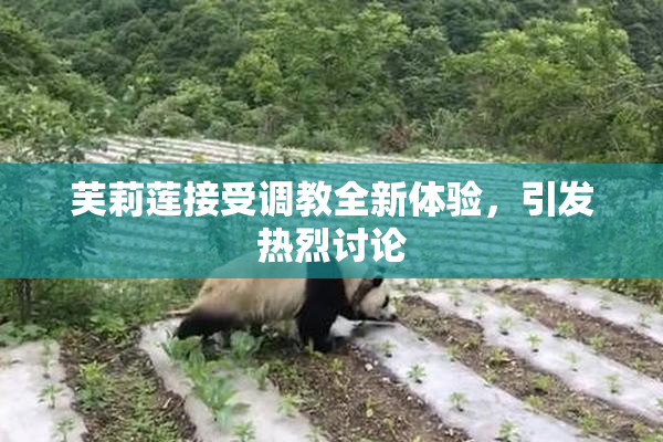 芙莉莲接受调教全新体验，引发热烈讨论
