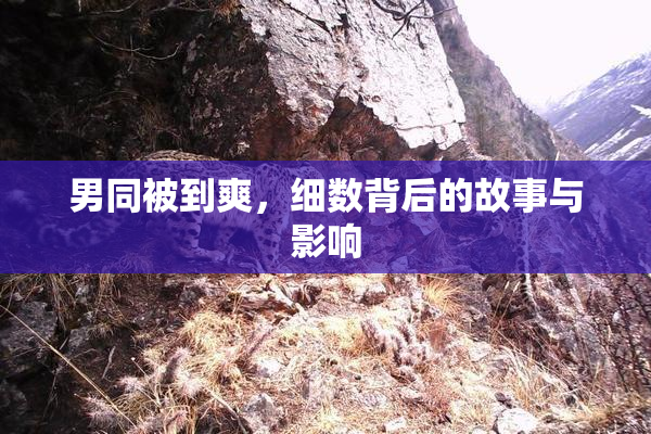 男同被到爽，细数背后的故事与影响
