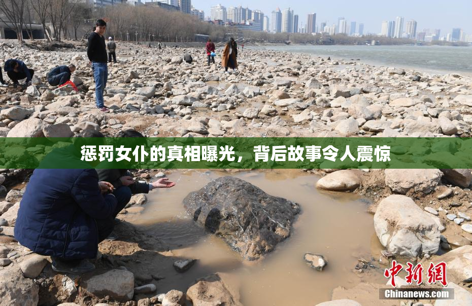惩罚女仆的真相曝光，背后故事令人震惊