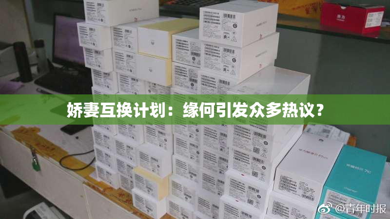 娇妻互换计划：缘何引发众多热议？
