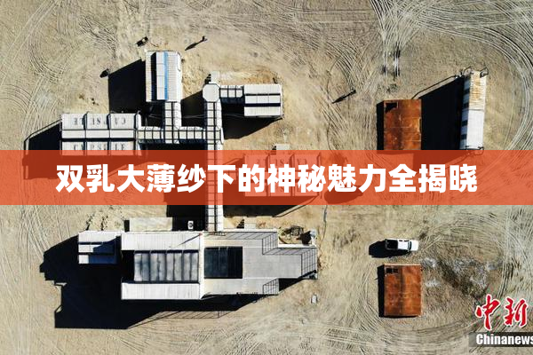 双乳大薄纱下的神秘魅力全揭晓