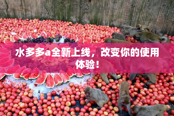 水多多a全新上线，改变你的使用体验！