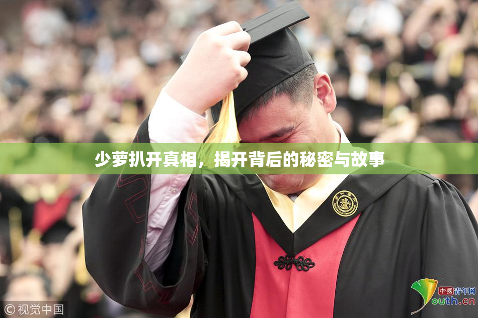 少萝扒开真相，揭开背后的秘密与故事