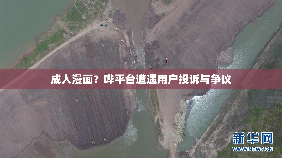 成人漫画？哔平台遭遇用户投诉与争议