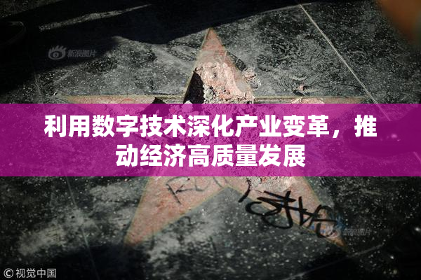 利用数字技术深化产业变革，推动经济高质量发展