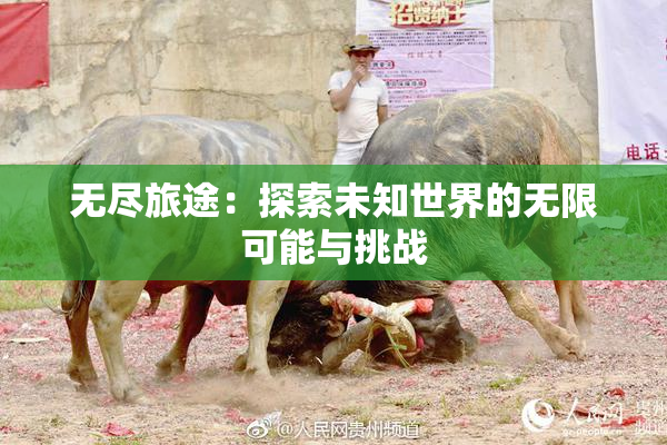 无尽旅途：探索未知世界的无限可能与挑战