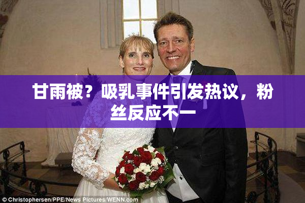 甘雨被？吸乳事件引发热议，粉丝反应不一