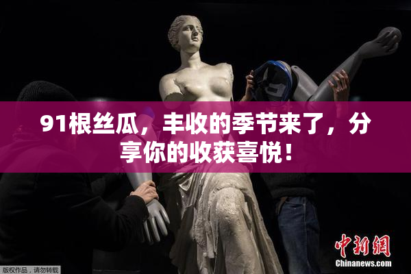 91根丝瓜，丰收的季节来了，分享你的收获喜悦！