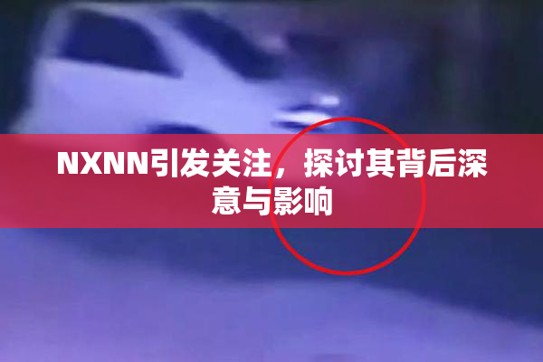 NXNN引发关注，探讨其背后深意与影响