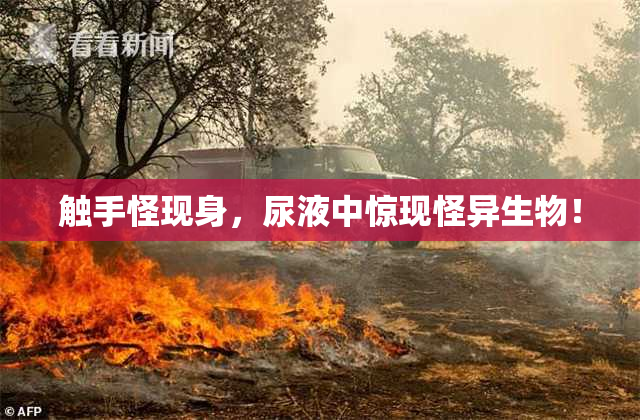 触手怪现身，尿液中惊现怪异生物！
