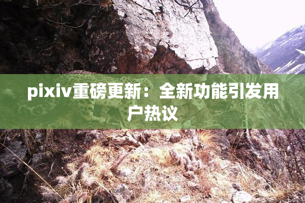 pixiv重磅更新：全新功能引发用户热议