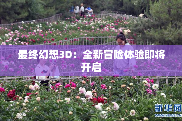 最终幻想3D：全新冒险体验即将开启