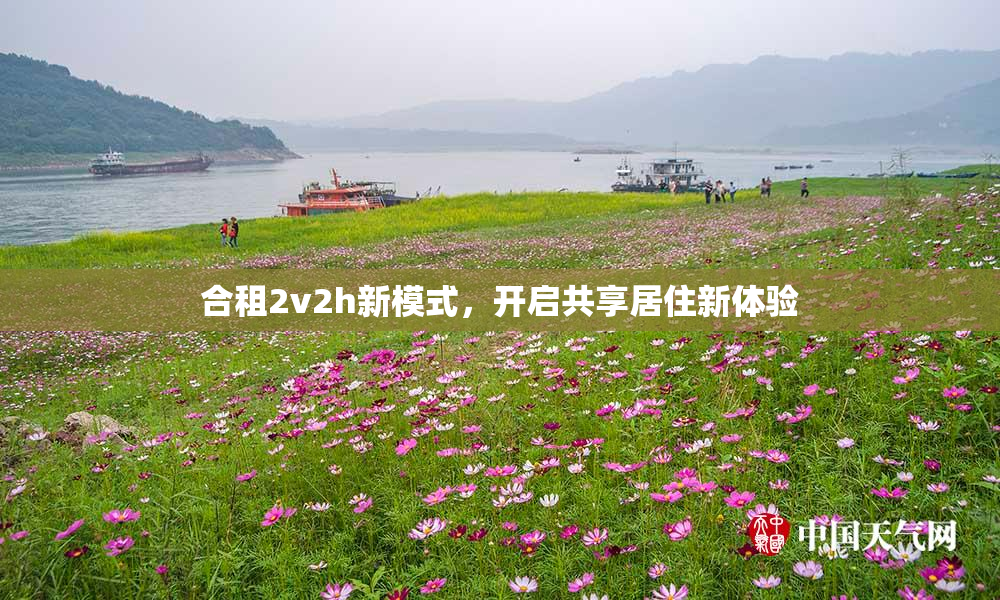 合租2v2h新模式，开启共享居住新体验