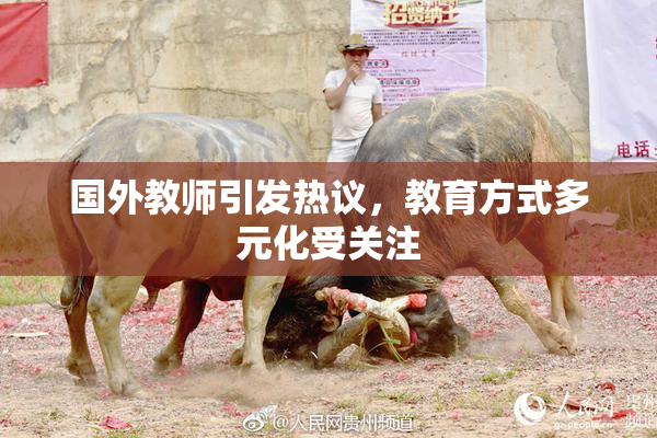国外教师引发热议，教育方式多元化受关注