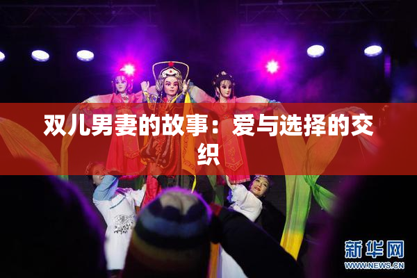 双儿男妻的故事：爱与选择的交织