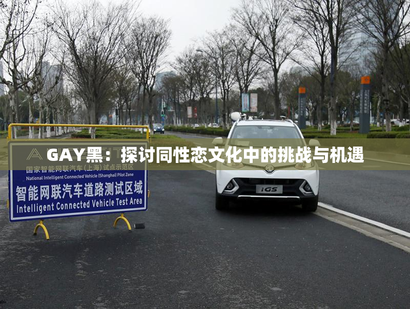 GAY黑：探讨同性恋文化中的挑战与机遇