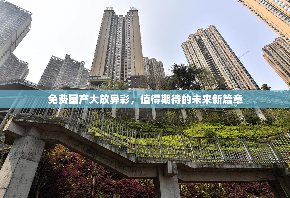 免费国产大放异彩，值得期待的未来新篇章