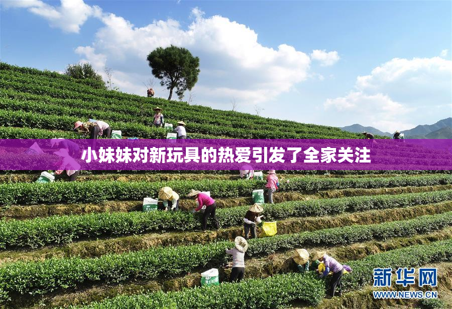 小妹妹对新玩具的热爱引发了全家关注