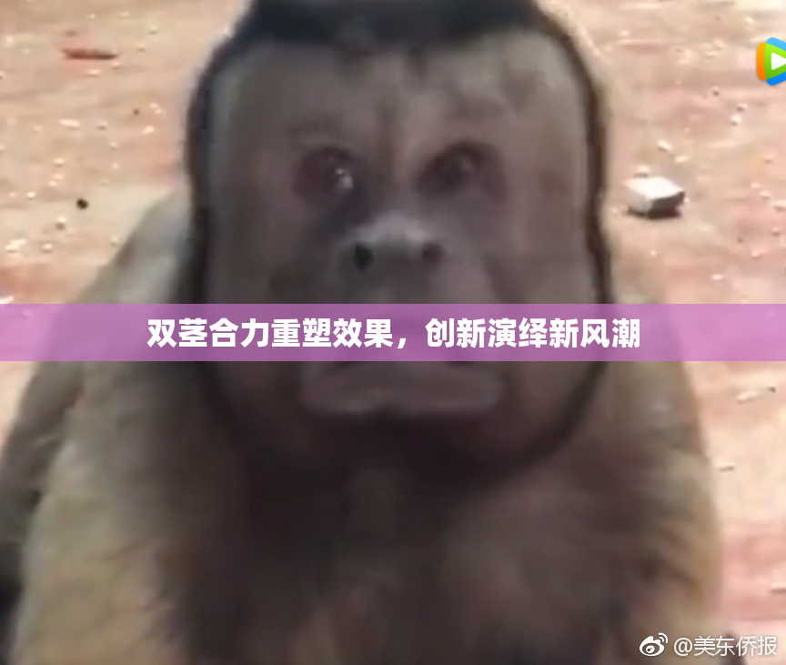 双茎合力重塑效果，创新演绎新风潮