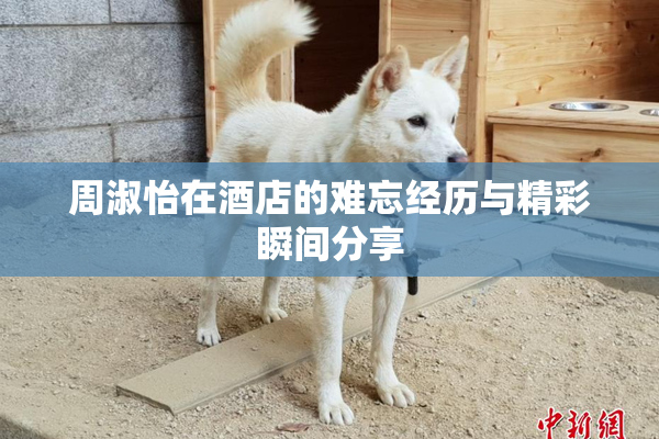 周淑怡在酒店的难忘经历与精彩瞬间分享