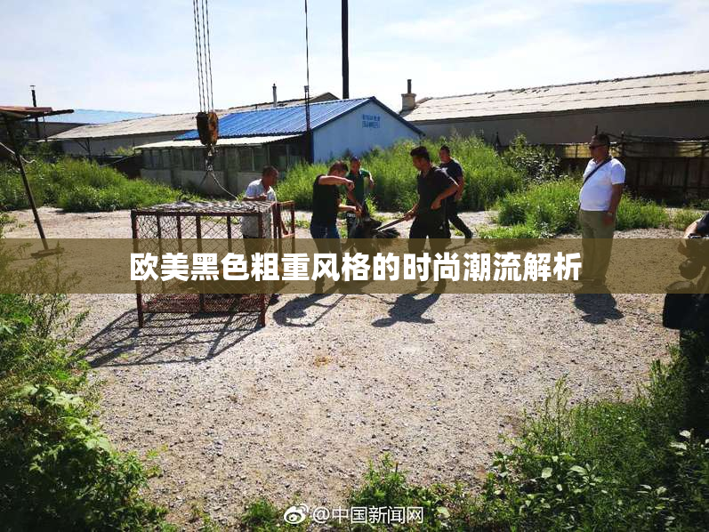 欧美黑色粗重风格的时尚潮流解析