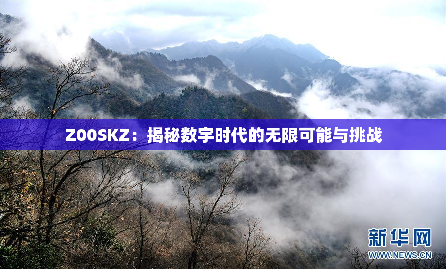 Z00SKZ：揭秘数字时代的无限可能与挑战