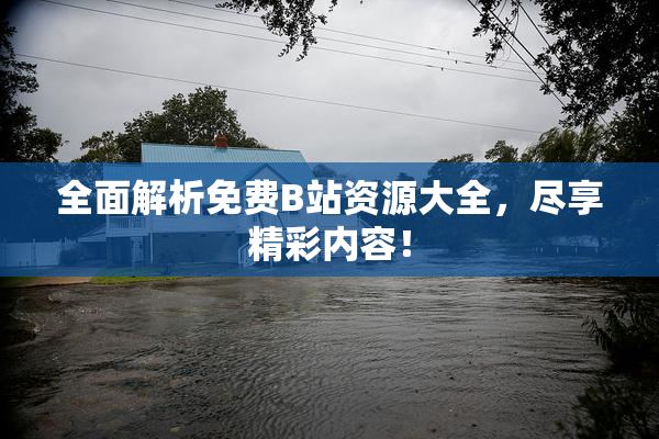 全面解析免费B站资源大全，尽享精彩内容！