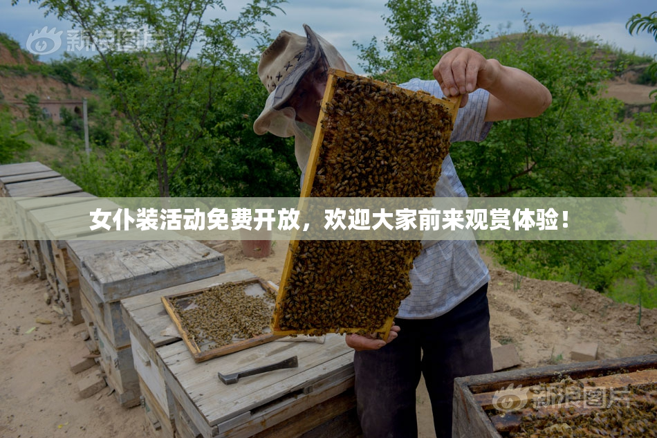 女仆装活动免费开放，欢迎大家前来观赏体验！